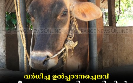 വര്‍ധിച്ച ഉല്‍പ്പാദനച്ചെലവ്: ക്ഷീരമേഖല പ്രതിസന്ധിയില്‍