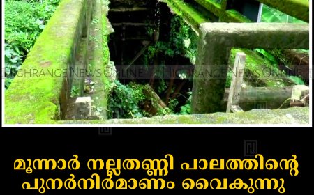 മൂന്നാര്‍ നല്ലതണ്ണി പാലത്തിന്റെ പുനര്‍നിര്‍മാണം വൈകുന്നു: കാല്‍നടയാത്രികര്‍ ദുരിതത്തില്‍  