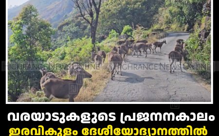 വരയാടുകളുടെ പ്രജനനകാലം:  ഇരവികുളം ദേശീയോദ്യാനത്തില്‍  സന്ദര്‍ശകര്‍ക്ക് ഫെബ്രുവരി 1 മുതല്‍ വിലക്ക് 