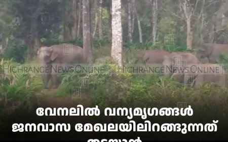 വേനലില്‍ വന്യമൃഗങ്ങള്‍ ജനവാസ മേഖലയിലിറങ്ങുന്നത് തടയാന്‍ ശാന്തന്‍പാറ പഞ്ചായത്തില്‍ ജനജാഗ്രതാ സമിതി യോഗം ചേര്‍ന്നു