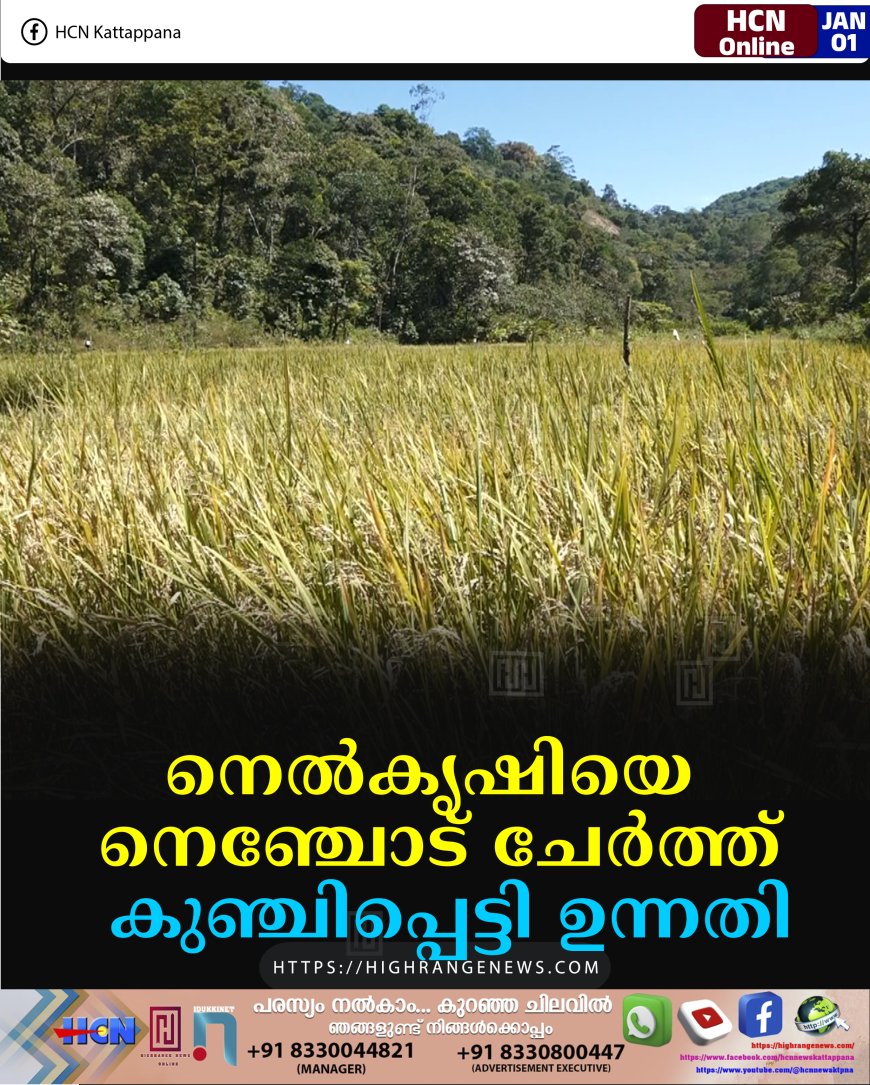 നെല്‍കൃഷിയെ നെഞ്ചോട് ചേര്‍ത്ത് കുഞ്ചിപ്പെട്ടി ഉന്നതി
