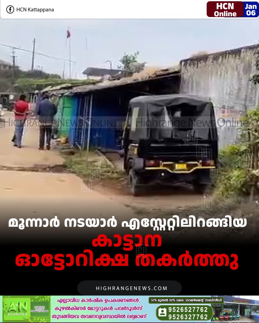 മൂന്നാര്‍ നടയാര്‍ എസ്റ്റേറ്റിലിറങ്ങിയ കാട്ടാന ഓട്ടോറിക്ഷ തകര്‍ത്തു 