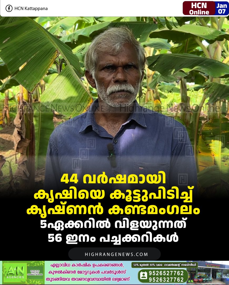 44 വര്‍ഷമായി കൃഷിയെ കൂട്ടുപിടിച്ച് കൃഷ്ണന്‍ കണ്ടമംഗലം:  5ഏക്കറില്‍ വിളയുന്നത് 56 ഇനം പച്ചക്കറികള്‍