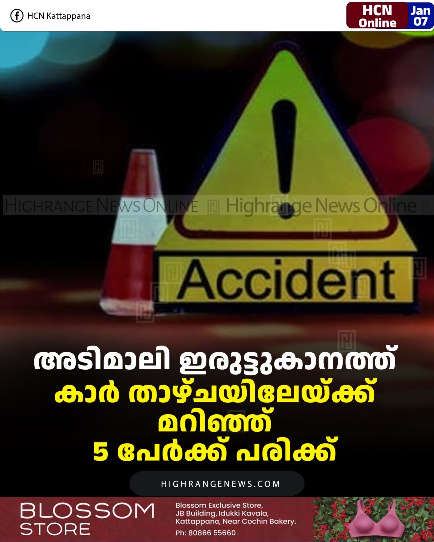 അടിമാലി ഇരുട്ടുകാനത്ത് കാര്‍ താഴ്ചയിലേയ്ക്ക് മറിഞ്ഞ് 5 പേര്‍ക്ക് പരിക്ക്  
