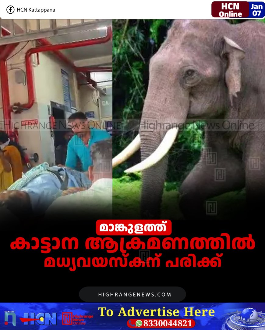 മാങ്കുളത്ത് കാട്ടാന ആക്രമണത്തില്‍ മധ്യവയസ്‌കന് പരിക്ക് 