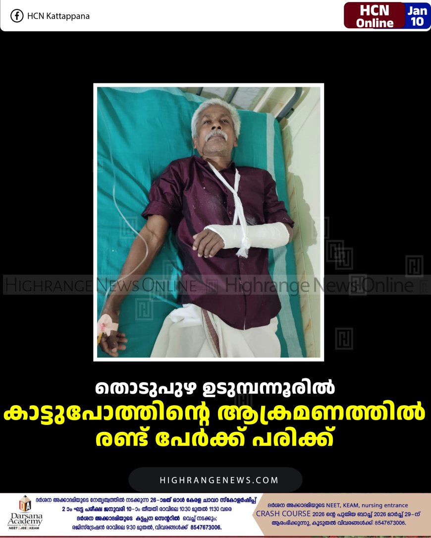 തൊടുപുഴ ഉടുമ്പന്നൂരിൽ കാട്ടുപോത്തിന്റെ ആക്രമണത്തിൽ രണ്ട് പേർക്ക് പരിക്ക് 