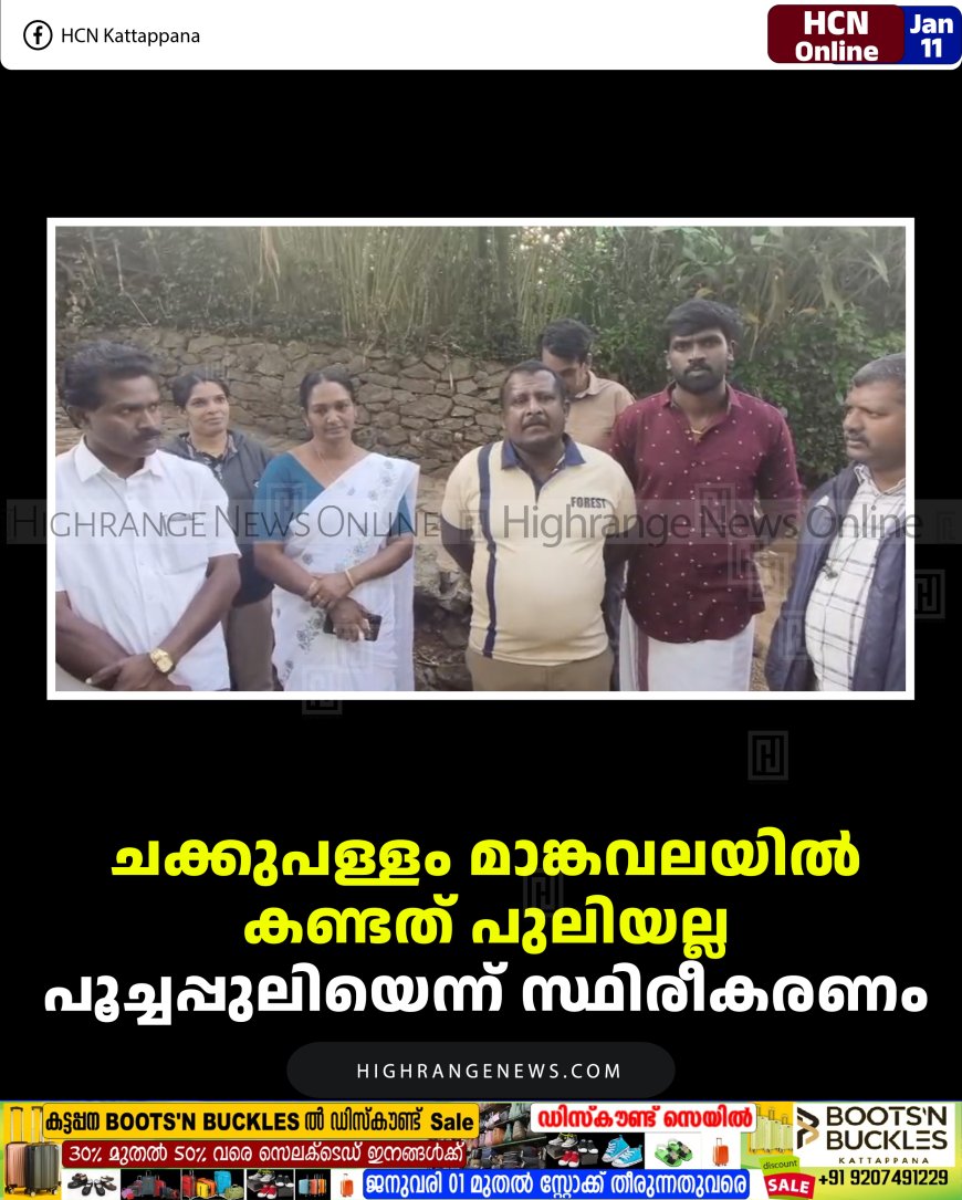 ചക്കുപള്ളം മാങ്കവലയില്‍ കണ്ടത് പുലിയല്ല; പൂച്ചപ്പുലിയെന്ന് സ്ഥിരീകരണം