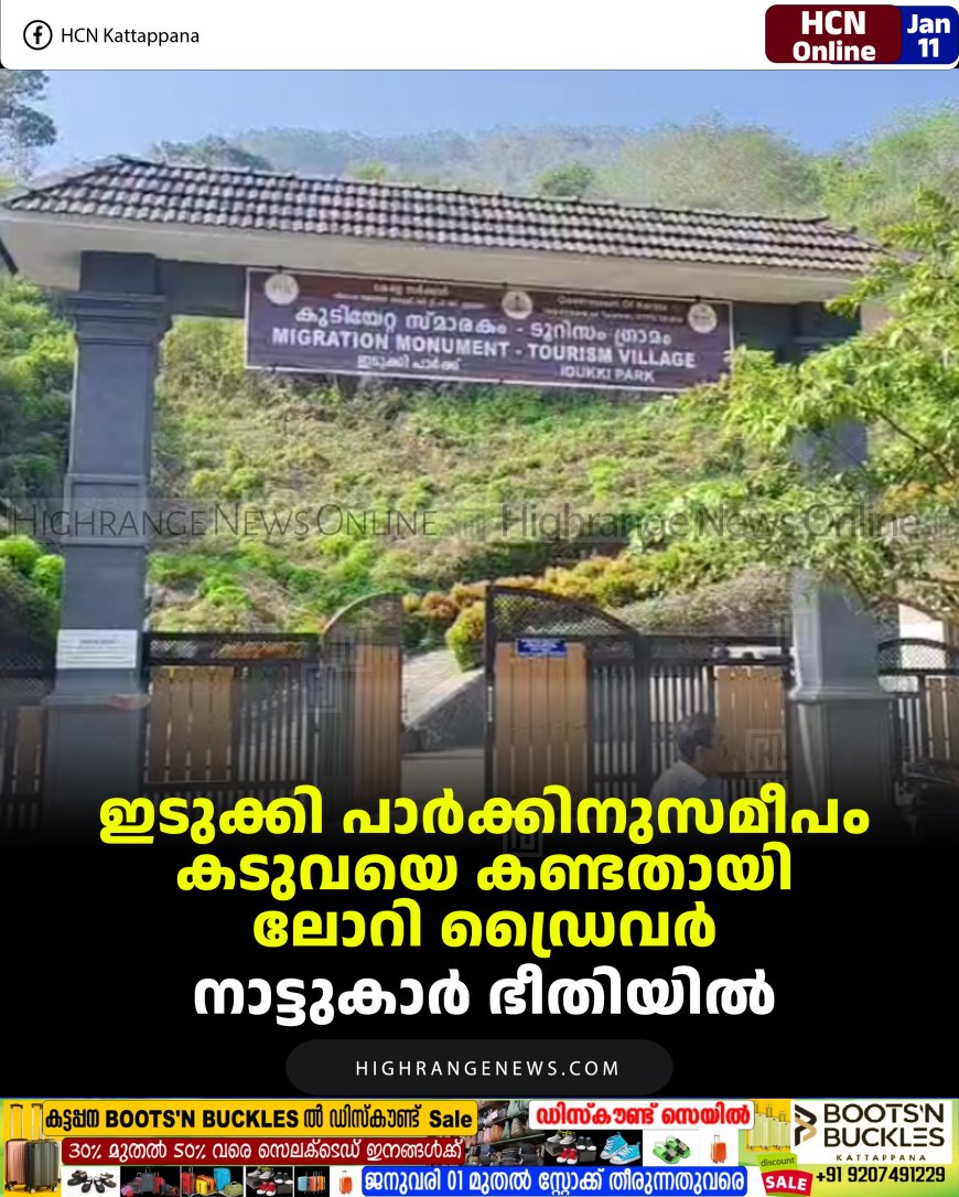 ഇടുക്കി പാര്‍ക്കിനുസമീപം കടുവയെ കണ്ടതായി ലോറി ഡ്രൈവര്‍: നാട്ടുകാര്‍ ഭീതിയില്‍