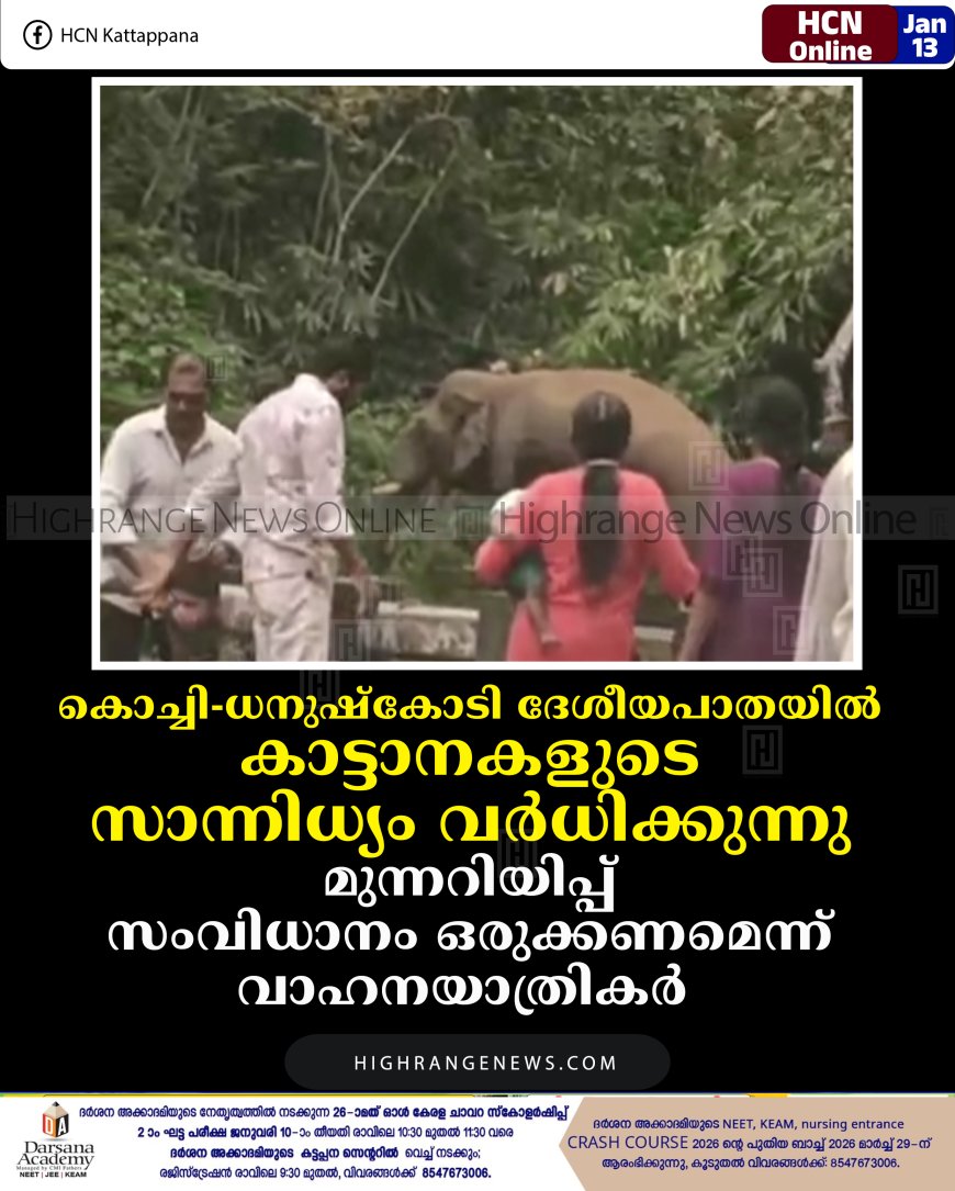 കൊച്ചി- ധനുഷ്‌കോടി ദേശീയപാതയില്‍ കാട്ടാനകളുടെ സാന്നിധ്യം വര്‍ധിക്കുന്നു: മുന്നറിയിപ്പ് സംവിധാനം ഒരുക്കണമെന്ന് വാഹനയാത്രികര്‍ 