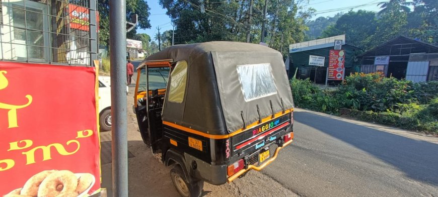 തെരുവ് നായ കുറുകെ ചാടി: കട്ടപ്പനയിൽ ഓട്ടോറിക്ഷ മറിഞ്ഞ് ഡ്രൈവർക്ക് പരിക്ക്
