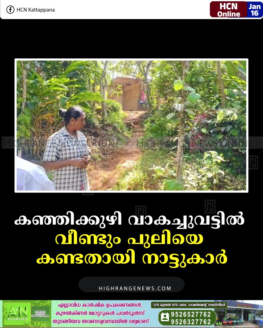 കഞ്ഞിക്കുഴി വാകച്ചുവട്ടില്‍ വീണ്ടും പുലിയെ കണ്ടതായി നാട്ടുകാര്‍