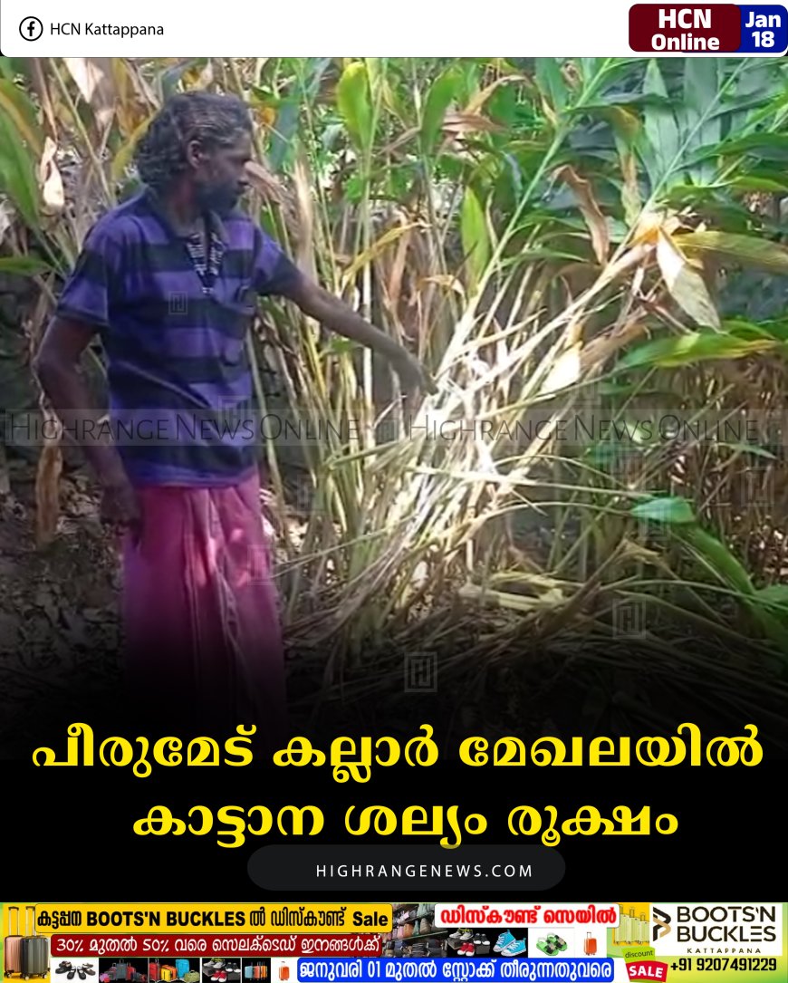 പീരുമേട് കല്ലാര്‍ മേഖലയില്‍ കാട്ടാന ശല്യം രൂക്ഷം