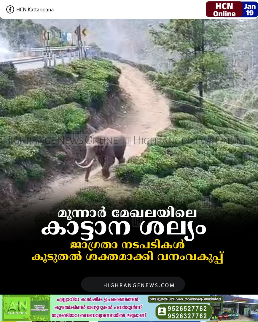 മൂന്നാര്‍ മേഖലയിലെ കാട്ടാന ശല്യം:   ജാഗ്രതാ നടപടികള്‍ കൂടുതല്‍ ശക്തമാക്കി വനംവകുപ്പ് 