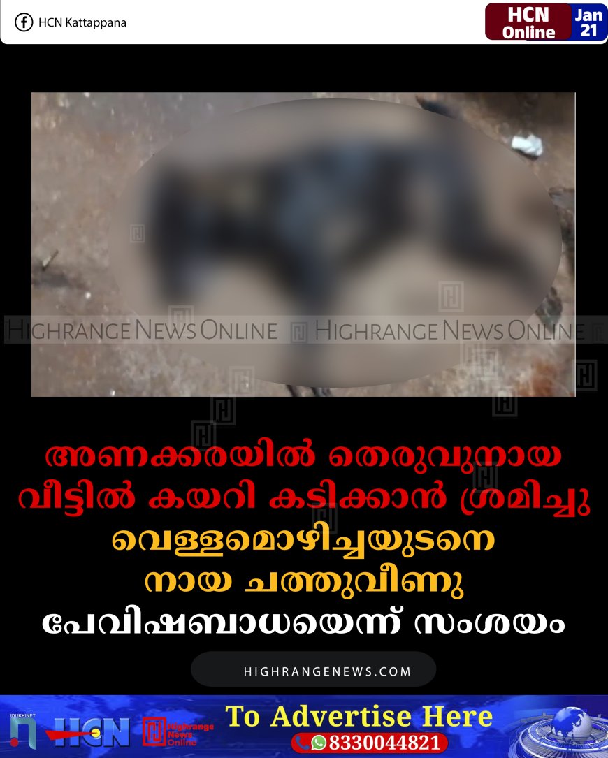 അണക്കരയില്‍ തെരുവുനായ വീട്ടില്‍ കയറി കടിക്കാന്‍ ശ്രമിച്ചു: വെള്ളമൊഴിച്ചയുടനെ നായ ചത്തുവീണു: പേവിഷബാധയെന്ന് സംശയം