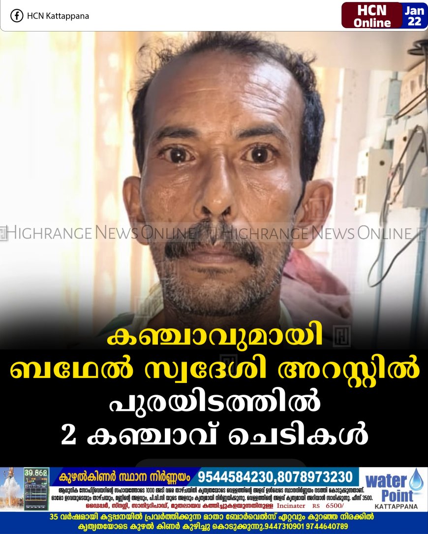 കഞ്ചാവുമായി ബഥേല്‍ സ്വദേശി അറസ്റ്റില്‍: പുരയിടത്തില്‍ 2 കഞ്ചാവ് ചെടികള്‍