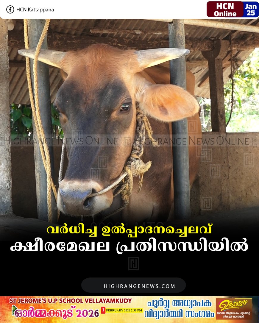 വര്‍ധിച്ച ഉല്‍പ്പാദനച്ചെലവ്: ക്ഷീരമേഖല പ്രതിസന്ധിയില്‍