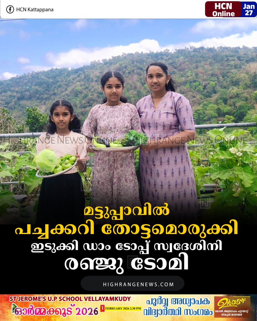 മട്ടുപ്പാവില്‍ പച്ചക്കറി തോട്ടമൊരുക്കി ഇടുക്കി ഡാം ടോപ്പ് സ്വദേശിനി രഞ്ജു ടോമി  