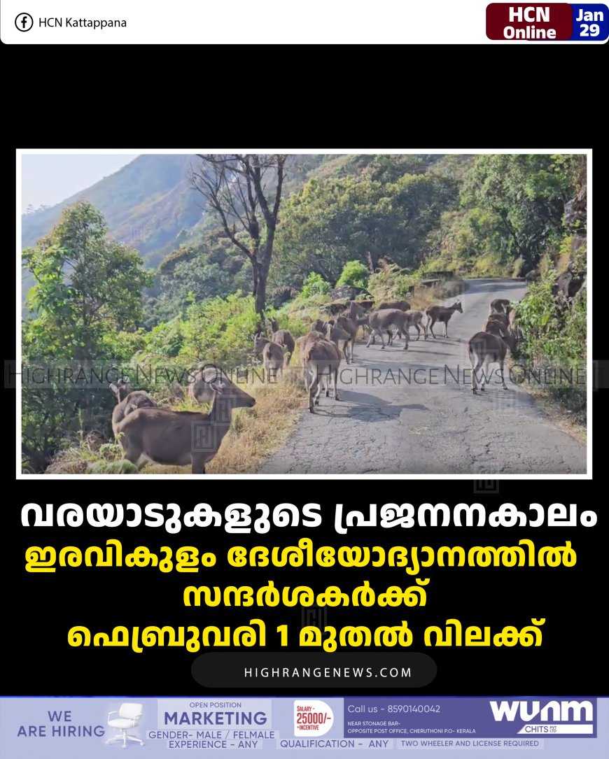 വരയാടുകളുടെ പ്രജനനകാലം:  ഇരവികുളം ദേശീയോദ്യാനത്തില്‍  സന്ദര്‍ശകര്‍ക്ക് ഫെബ്രുവരി 1 മുതല്‍ വിലക്ക് 