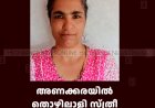 അണക്കരയില്‍ തൊഴിലാളി സ്ത്രീ കുഴഞ്ഞുവീണ് മരിച്ചു 