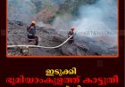 ഇടുക്കി ഭൂമിയാംകുളത്ത് കാട്ടുതീ: നാശനഷ്ടമില്ല   
