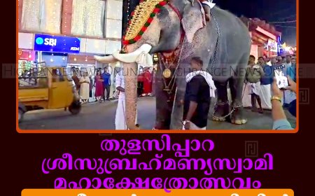 തുളസിപ്പാറ ശ്രീസുബ്രഹ്‌മണ്യസ്വാമി മഹാക്ഷേത്രോത്സവം: ഗജവീരന്റെ അകമ്പടിയില്‍ താലപ്പൊലി ഘോഷയാത്ര