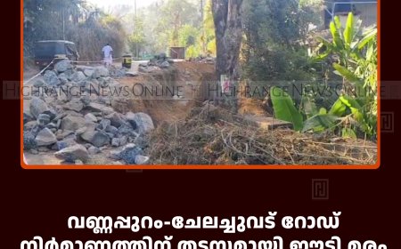 വണ്ണപ്പുറം-ചേലച്ചുവട് റോഡ് നിര്‍മാണത്തിന് തടസമായി ഈട്ടി മരം: വനംവകുപ്പ് നടപടി സ്വീകരിക്കണമെന്ന് നാട്ടുകാര്‍