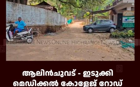 ആലിന്‍ചുവട് - ഇടുക്കി മെഡിക്കല്‍ കോളേജ് റോഡ് പുനര്‍നിര്‍മിക്കണമെന്ന് നാട്ടുകാര്‍ 