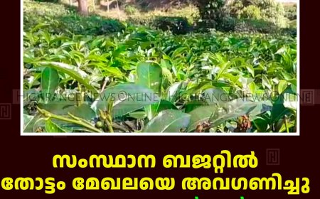 സംസ്ഥാന ബജറ്റില്‍ തോട്ടം മേഖലയെ അവഗണിച്ചു: കേരളാ പ്ലാന്റേഷന്‍ വര്‍ക്കേഴ്‌സ് യൂണിയന്‍