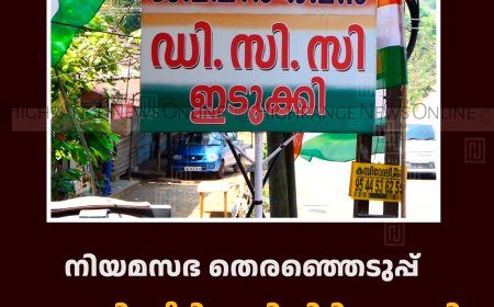 നിയമസഭ തെരഞ്ഞെടുപ്പ്: ഇടുക്കി സീറ്റിനായി പിടിമുറുക്കി ഡിസിസി 