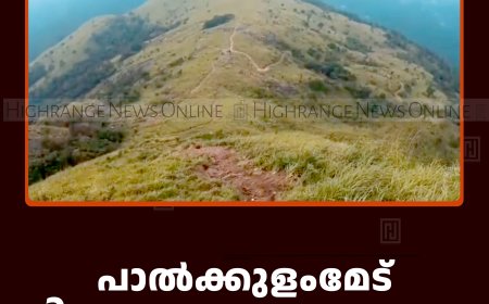 പാല്‍ക്കുളംമേട് വിനോദസഞ്ചാര കേന്ദ്രം തുറക്കാന്‍ നടപടി