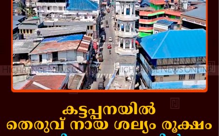 കട്ടപ്പനയില്‍ തെരുവ് നായ ശല്യം രൂക്ഷം: വെട്ടിക്കുഴക്കവലയില്‍  പത്രക്കെട്ടുകള്‍ നശിപ്പിച്ചു 