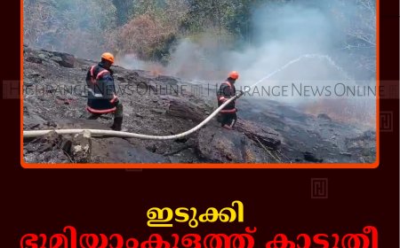 ഇടുക്കി ഭൂമിയാംകുളത്ത് കാട്ടുതീ: നാശനഷ്ടമില്ല   