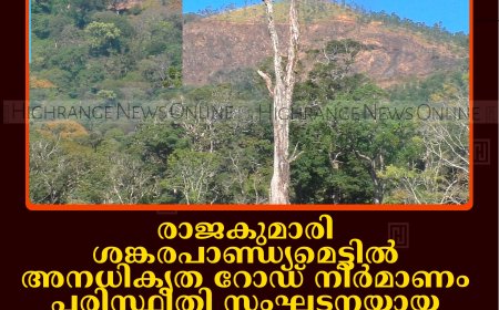 രാജകുമാരി ശങ്കരപാണ്ഡ്യമെട്ടില്‍ അനധികൃത റോഡ് നിര്‍മാണം: പരിസ്ഥിതി സംഘടനയായ ഗ്രീന്‍ കെയര്‍ കേരള വിജിലന്‍സില്‍ പരാതി നല്‍കി