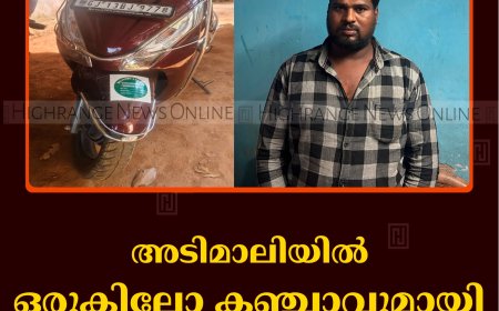 അടിമാലിയില്‍ ഒരുകിലോ കഞ്ചാവുമായി യുവാവ് പിടിയില്‍ 