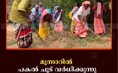 മൂന്നാറിൽ പകൽ ചൂട് വർധിക്കുന്നു: തൊഴിലാളികൾ പ്രതിസന്ധിയിൽ 