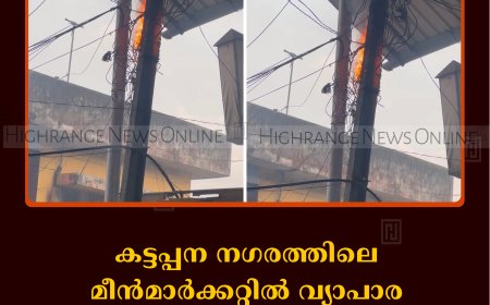 കട്ടപ്പന നഗരത്തിലെ മീന്‍മാര്‍ക്കറ്റില്‍ വ്യാപാര സ്ഥാപനത്തിനുസമീപം വൈദ്യുതി ലൈനില്‍ തീപിടിത്തം