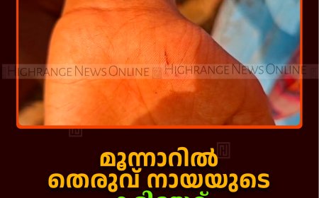 മൂന്നാറില്‍ തെരുവ് നായയുടെ കടിയേറ്റ് 10 വയസുകാരിക്ക് പരിക്ക്