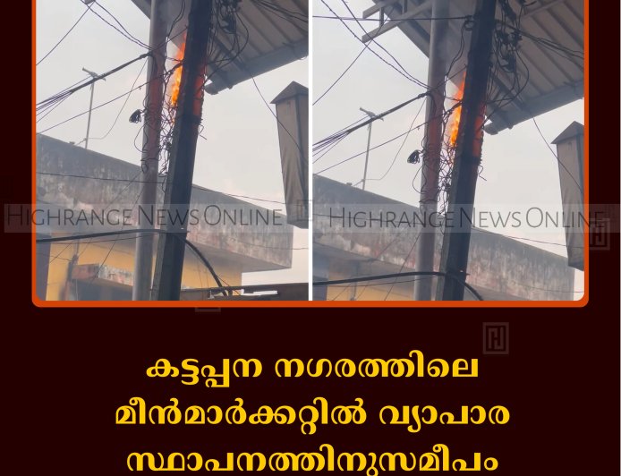 കട്ടപ്പന നഗരത്തിലെ മീന്‍മാര്‍ക്കറ്റില്‍ വ്യാപാര സ്ഥാപനത്തിനുസമീപം വൈദ്യുതി ലൈനില്‍ തീപിടിത്തം