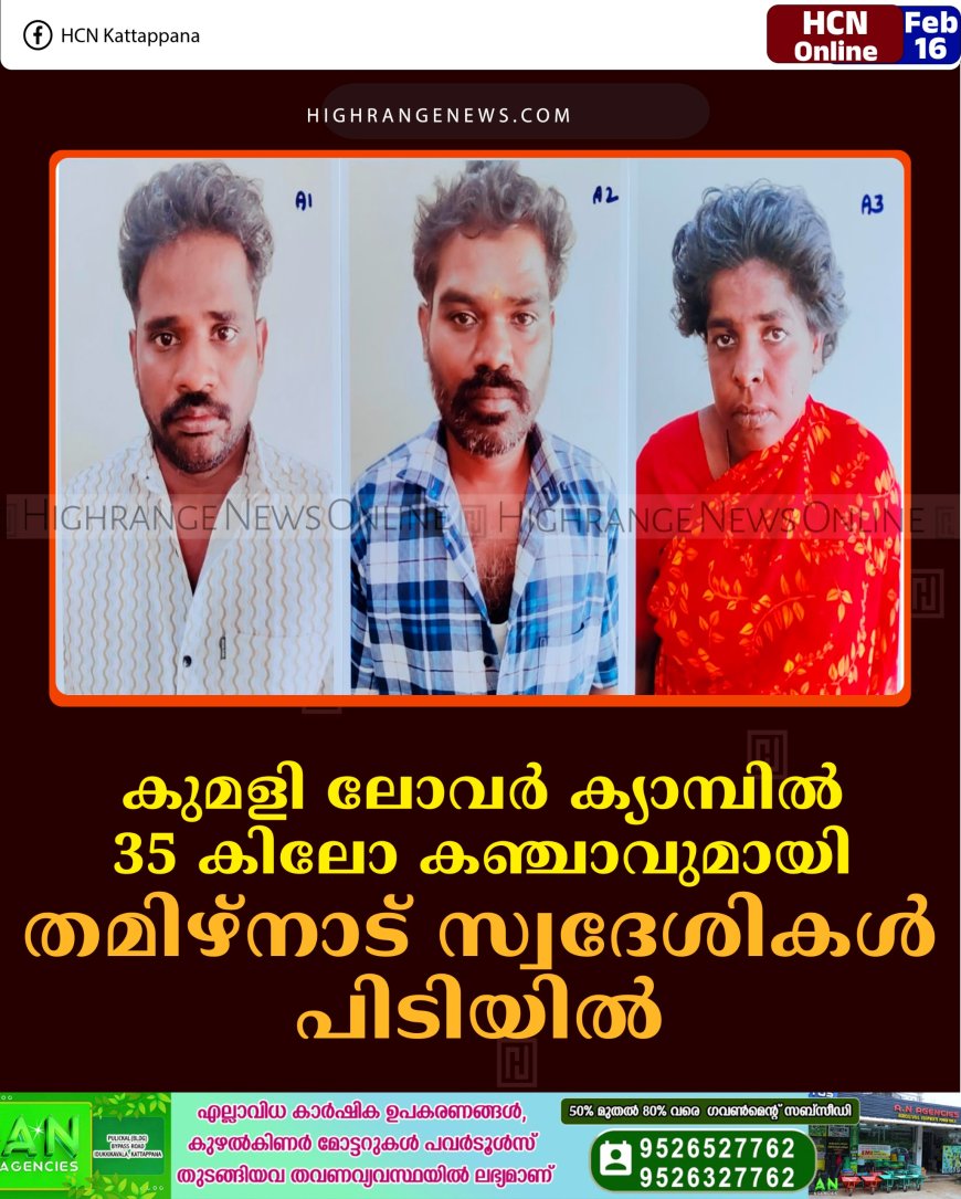 കുമളി ലോവര്‍ ക്യാമ്പില്‍ 35 കിലോ കഞ്ചാവുമായി തമിഴ്‌നാട് സ്വദേശികള്‍ പിടിയില്‍ 