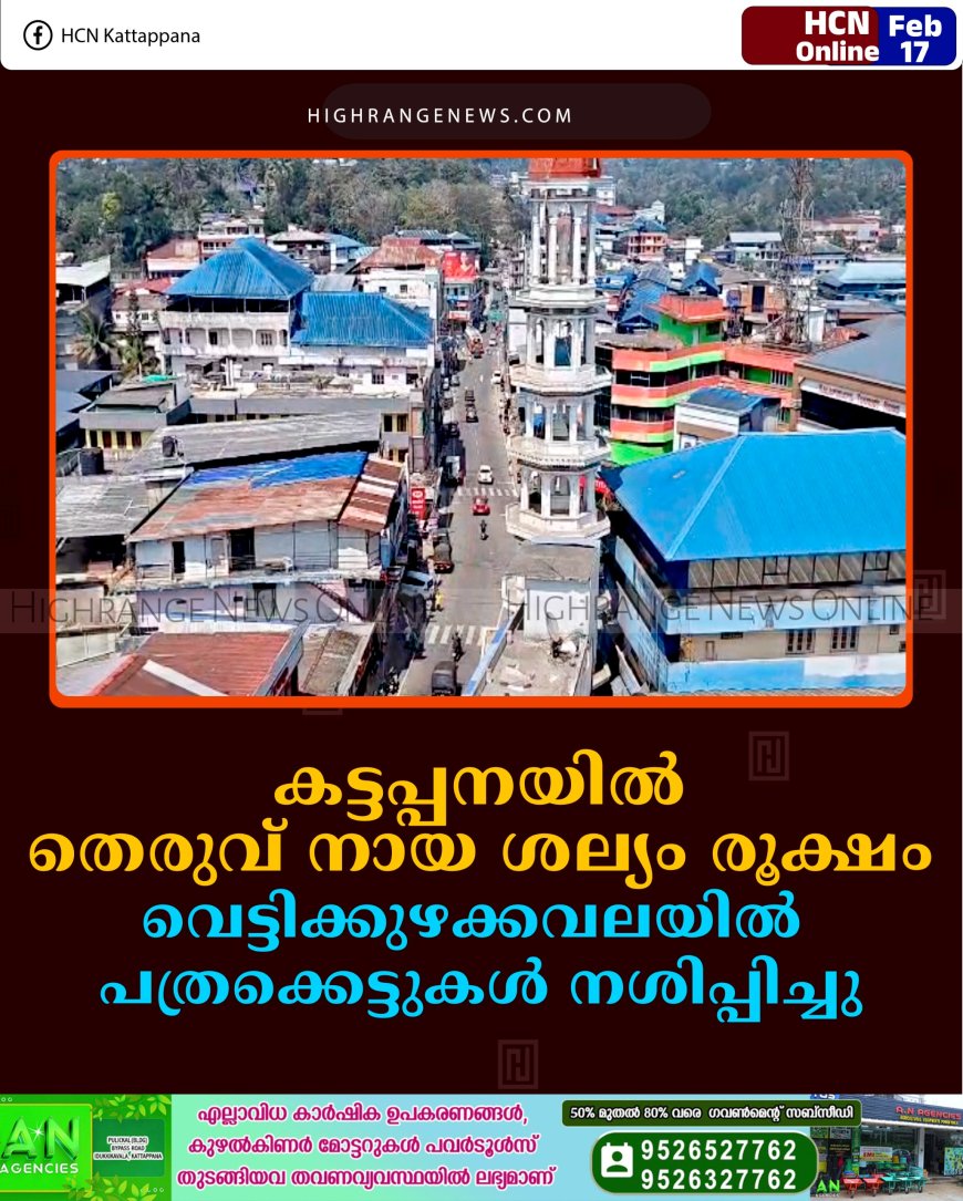 കട്ടപ്പനയില്‍ തെരുവ് നായ ശല്യം രൂക്ഷം: വെട്ടിക്കുഴക്കവലയില്‍  പത്രക്കെട്ടുകള്‍ നശിപ്പിച്ചു 