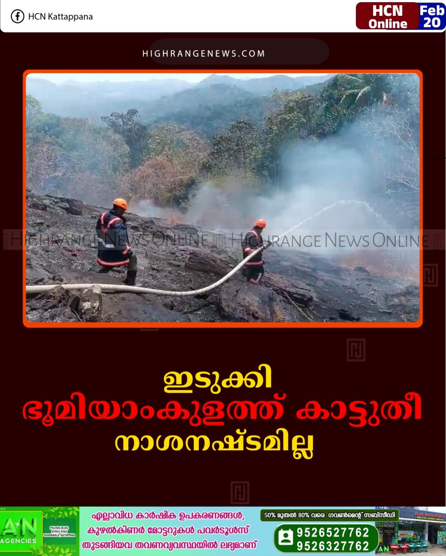 ഇടുക്കി ഭൂമിയാംകുളത്ത് കാട്ടുതീ: നാശനഷ്ടമില്ല   