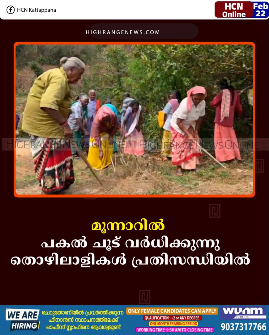 മൂന്നാറിൽ പകൽ ചൂട് വർധിക്കുന്നു: തൊഴിലാളികൾ പ്രതിസന്ധിയിൽ 