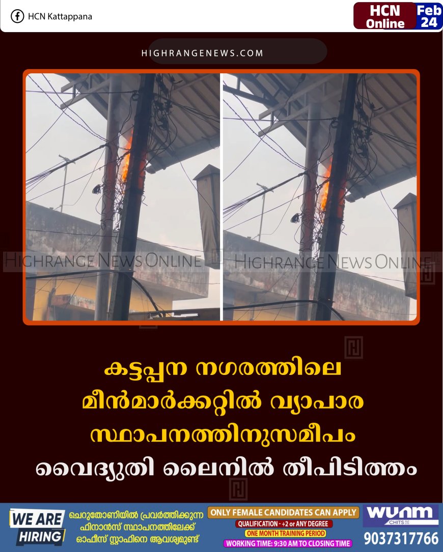 കട്ടപ്പന നഗരത്തിലെ മീന്‍മാര്‍ക്കറ്റില്‍ വ്യാപാര സ്ഥാപനത്തിനുസമീപം വൈദ്യുതി ലൈനില്‍ തീപിടിത്തം