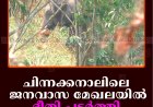 ചിന്നക്കനാലിലെ ജനവാസ മേഖലയില്‍ ഭീതി പടര്‍ത്തി ചക്കകൊമ്പന്‍   