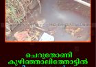 ചെറുതോണി കുഴിഞ്ഞാലിത്തോട്ടില്‍  മാലിന്യം തള്ളല്‍ രൂക്ഷം