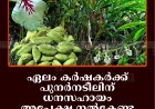 ഏലം കര്‍ഷകര്‍ക്ക് പുനര്‍നടീലിന് ധനസഹായം: അപേക്ഷ നല്‍കേണ്ട അവസാന തീയതി 25  