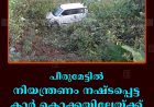 പീരുമേട്ടില്‍ നിയന്ത്രണം നഷ്ടപ്പെട്ട കാര്‍ കൊക്കയിലേയ്ക്ക് മറിഞ്ഞ് അപകടം