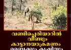 വണ്ടിപ്പെരിയാറില്‍ വീണ്ടും കാട്ടാനയാക്രമണം: ബൈക്കും കൃഷിയും നശിപ്പിച്ചു  