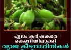 ഏലം കര്‍ഷകരെ കെണിയിലാക്കി വ്യാജ കീടനാശിനികള്‍ വിറ്റഴിക്കുന്നു