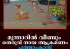 മൂന്നാറില്‍ വീണ്ടും തെരുവ് നായ ആക്രമണം: പത്താംക്ലാസ് വിദ്യാര്‍ഥിക്ക് കടിയേറ്റു